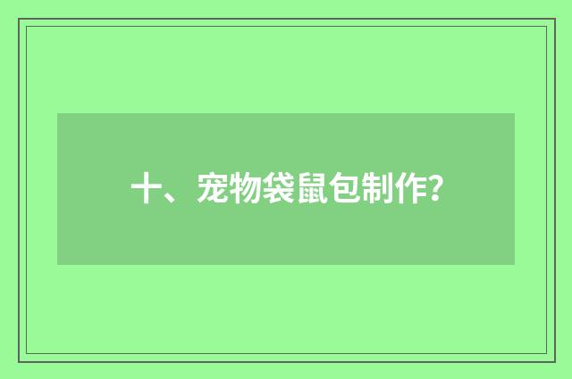 十、宠物袋鼠包制作？