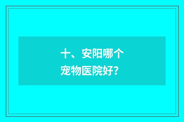 十、安阳哪个宠物医院好？