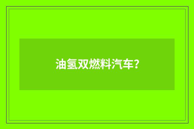 油氢双燃料汽车？