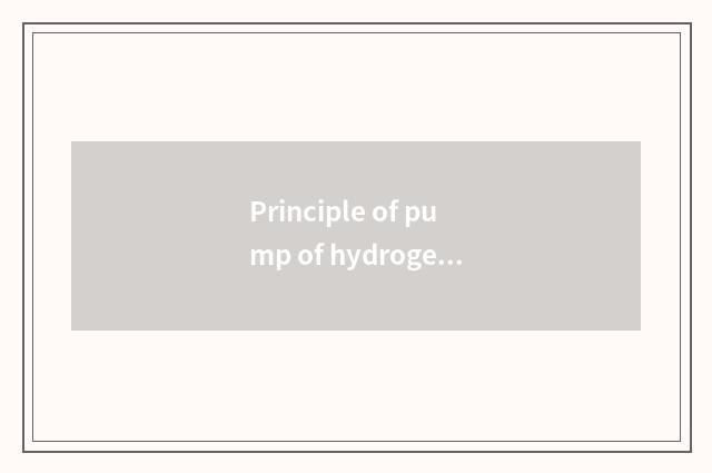 Principle of pump of hydrogen of hydrogenous fuel car?