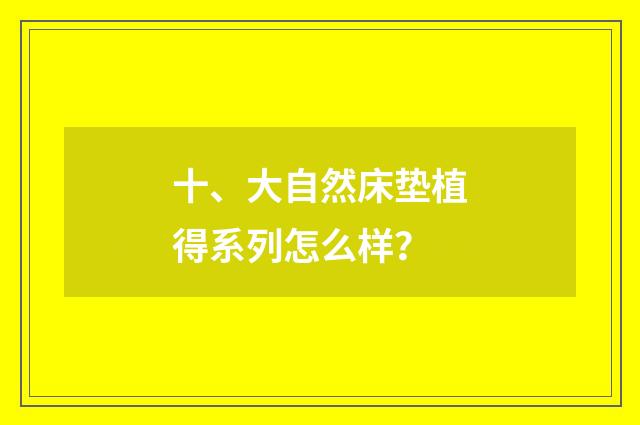 十、大自然床垫植得系列怎么样？