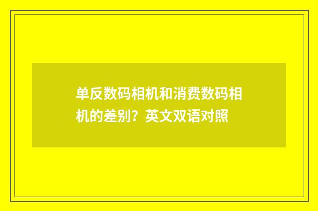 单反数码相机和消费数码相机的差别？英文双语对照