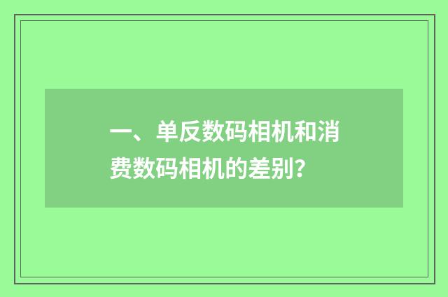 一、单反数码相机和消费数码相机的差别？