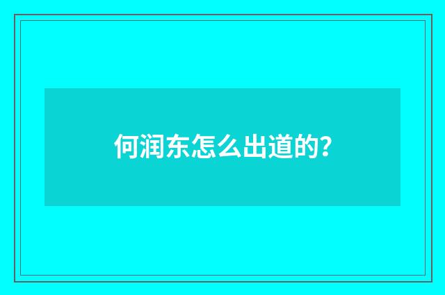 何润东怎么出道的？
