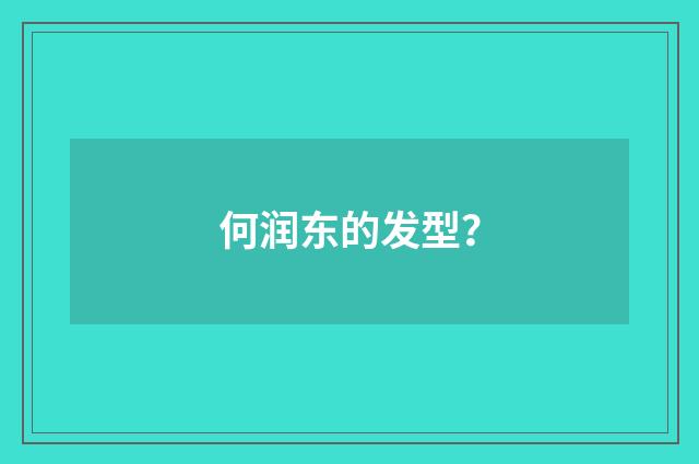 何润东的发型？