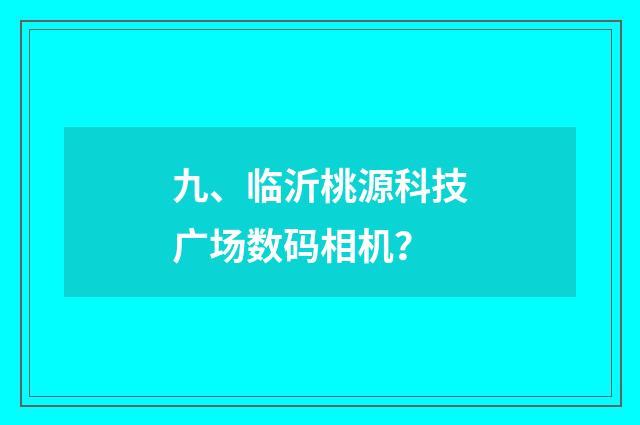 九、临沂桃源科技广场数码相机？