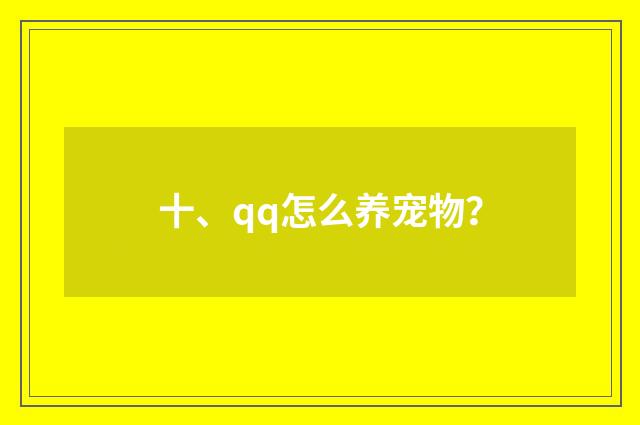 十、qq怎么养宠物？
