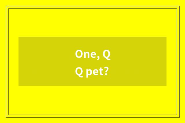 One, QQ pet?