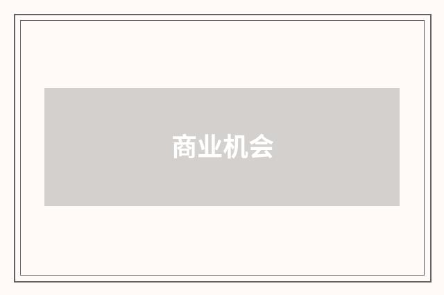商业机会