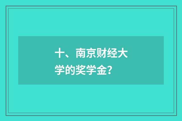 十、南京财经大学的奖学金？