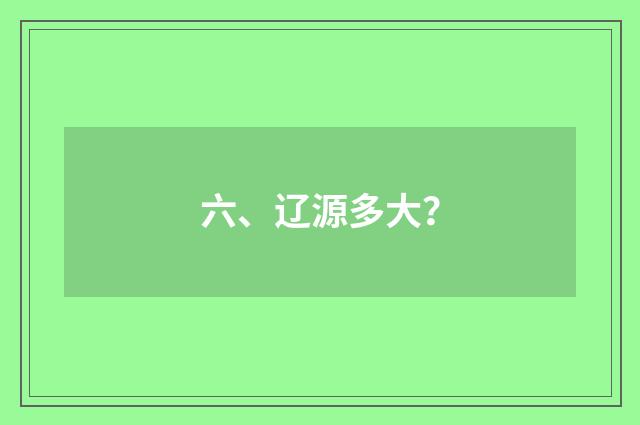 六、辽源多大？