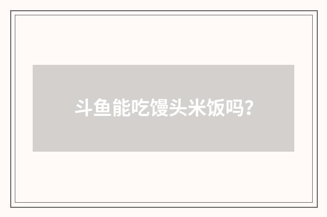 斗鱼能吃馒头米饭吗?