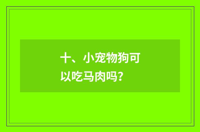 十、小宠物狗可以吃马肉吗？