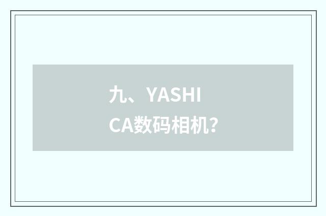 九、YASHICA数码相机？