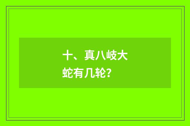 十、真八岐大蛇有几轮？
