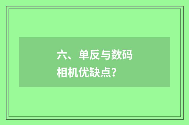 六、单反与数码相机优缺点？