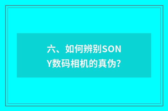 六、如何辨别SONY数码相机的真伪？