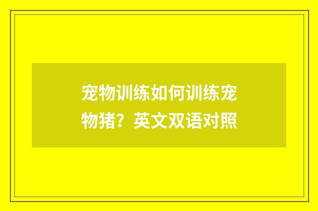 宠物训练如何训练宠物猪？英文双语对照