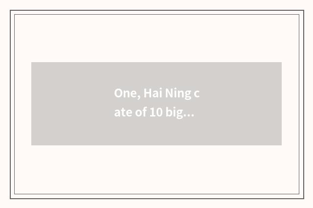 One, Hai Ning cate of 10 big characteristic?