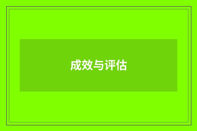成效与评估