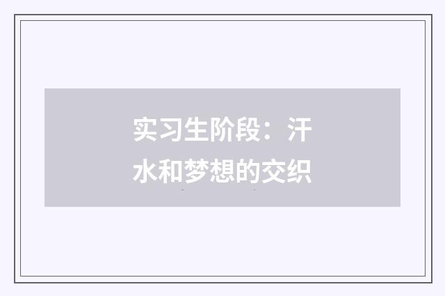 实习生阶段：汗水和梦想的交织