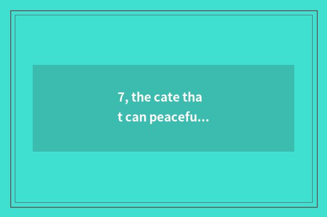 7, the cate that can peaceful wave special local product take away?