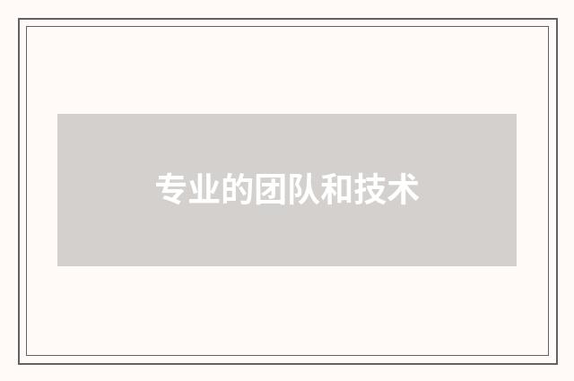专业的团队和技术
