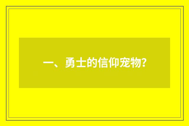一、勇士的信仰宠物？