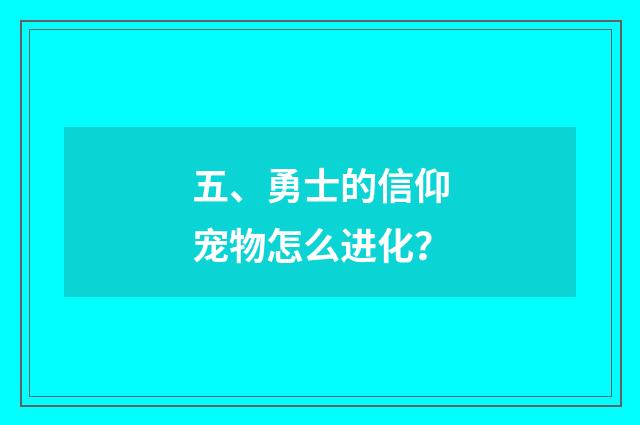 五、勇士的信仰宠物怎么进化？
