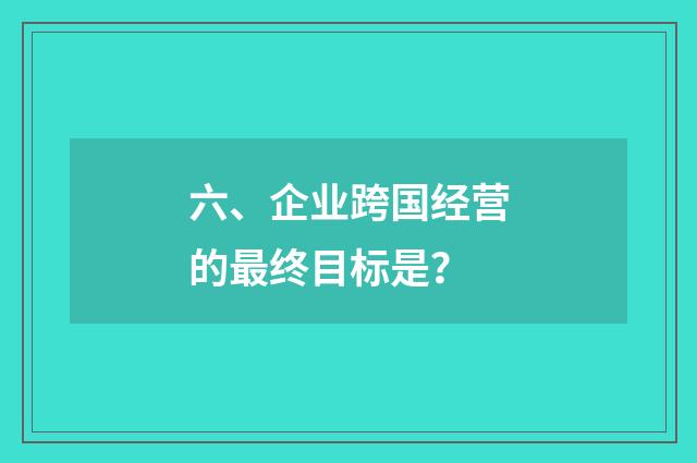 六、企业跨国经营的最终目标是？