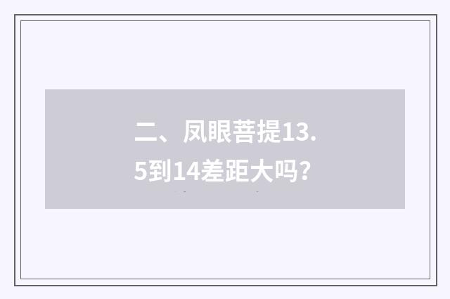 二、凤眼菩提13.5到14差距大吗？