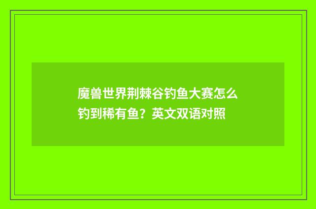 魔兽世界荆棘谷钓鱼大赛怎么钓到稀有鱼？英文双语对照