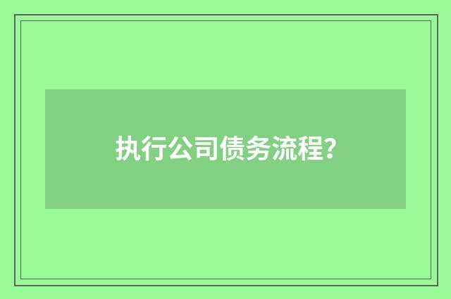 执行公司债务流程？