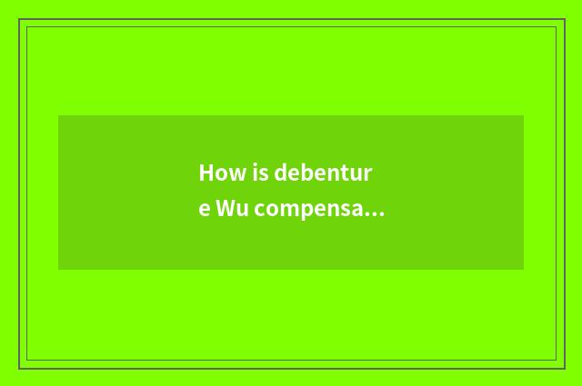 How is debenture Wu compensated for?