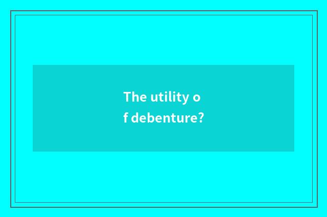 The utility of debenture?