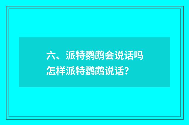 六、派特鹦鹉会说话吗怎样派特鹦鹉说话？