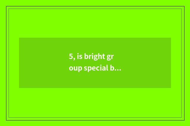 5, is bright group special brief introduction?