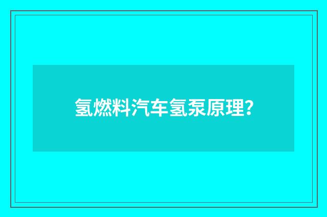 氢燃料汽车氢泵原理？