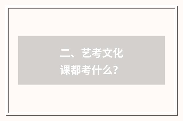 二、艺考文化课都考什么？