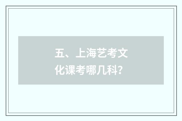 五、上海艺考文化课考哪几科？