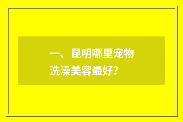 一、昆明哪里宠物洗澡美容最好？