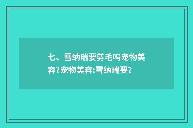 七、雪纳瑞要剪毛吗宠物美容?宠物美容:雪纳瑞要？
