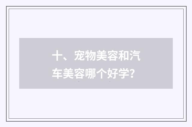 十、宠物美容和汽车美容哪个好学？