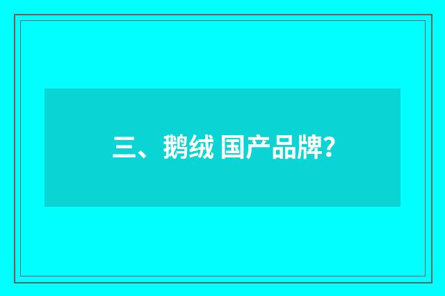 三、鹅绒 国产品牌？