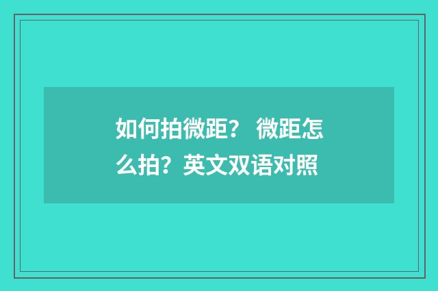 如何拍微距? 微距怎么拍?英文双语对照