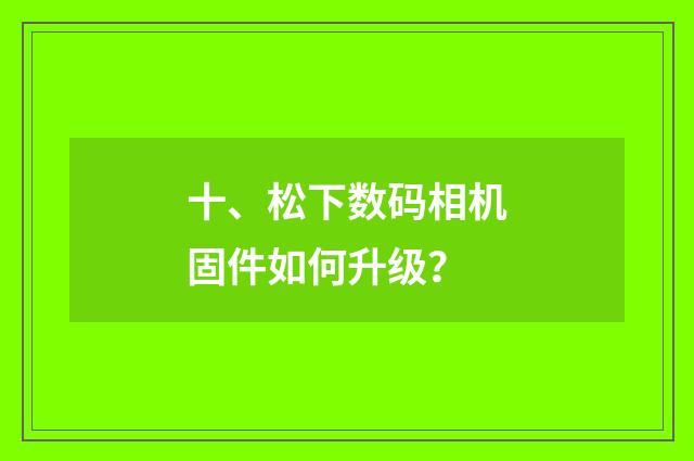 十、松下数码相机固件如何升级？