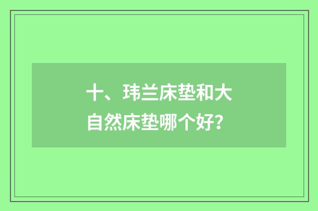 十、玮兰床垫和大自然床垫哪个好？