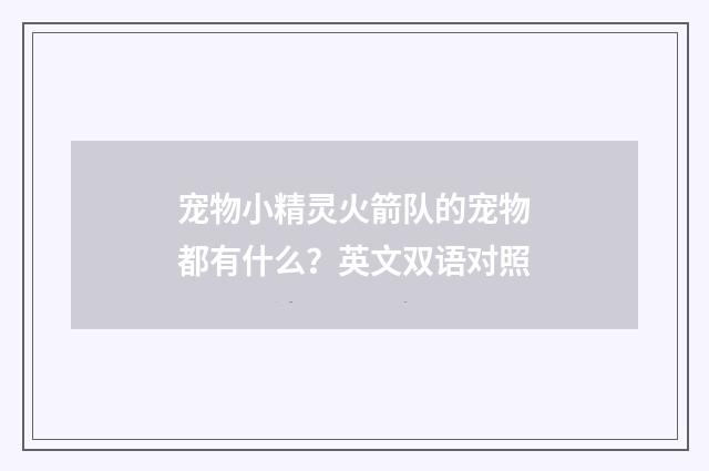 宠物小精灵火箭队的宠物都有什么？英文双语对照