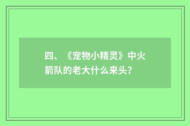 四、《宠物小精灵》中火箭队的老大什么来头？