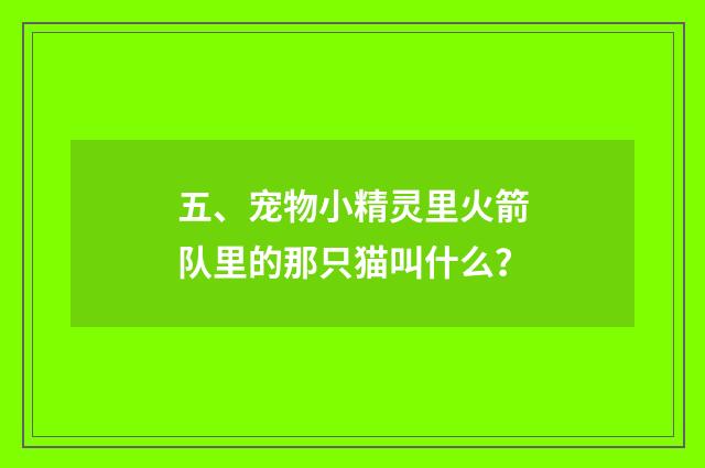 五、宠物小精灵里火箭队里的那只猫叫什么？